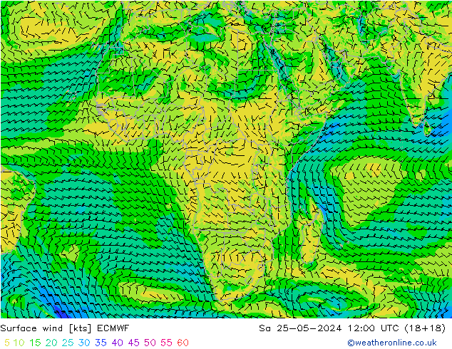 Wind 10 m ECMWF za 25.05.2024 12 UTC