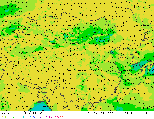 风 10 米 ECMWF 星期六 25.05.2024 00 UTC