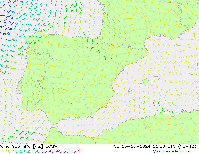  za 25.05.2024 06 UTC