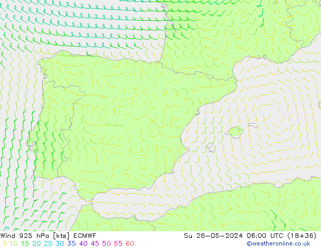 Wind 925 hPa ECMWF zo 26.05.2024 06 UTC