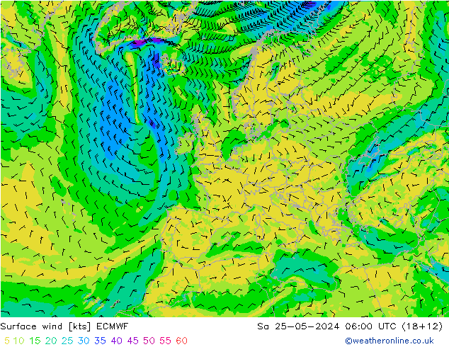 Vento 10 m ECMWF sab 25.05.2024 06 UTC