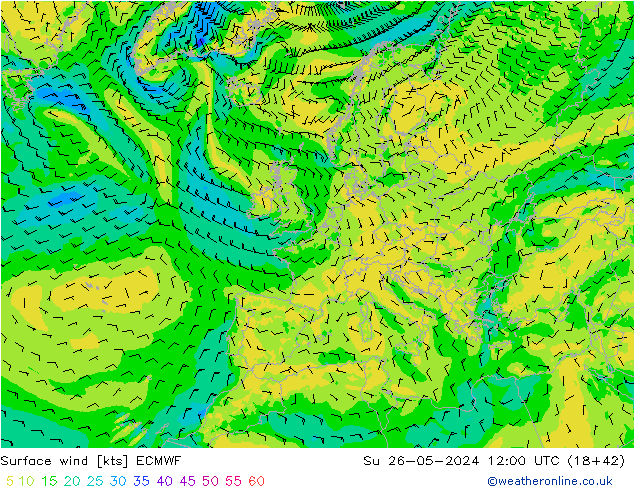 Surface wind ECMWF Su 26.05.2024 12 UTC