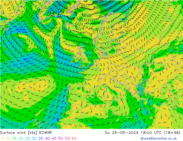 Vento 10 m ECMWF dom 26.05.2024 18 UTC