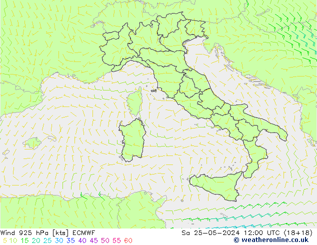  925 hPa ECMWF  25.05.2024 12 UTC