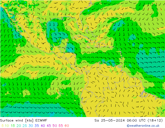 Surface wind ECMWF Sa 25.05.2024 06 UTC