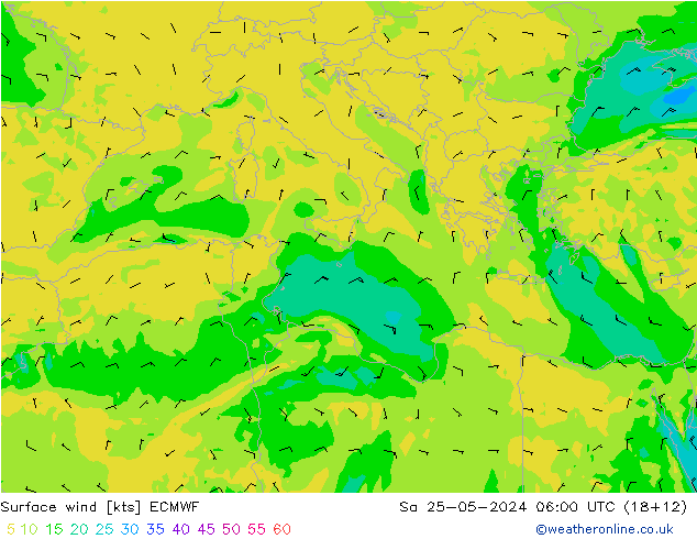 Surface wind ECMWF Sa 25.05.2024 06 UTC