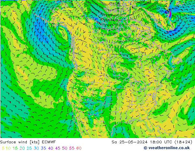 风 10 米 ECMWF 星期六 25.05.2024 18 UTC