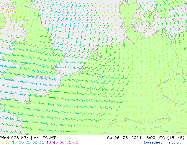 wiatr 925 hPa ECMWF nie. 26.05.2024 18 UTC