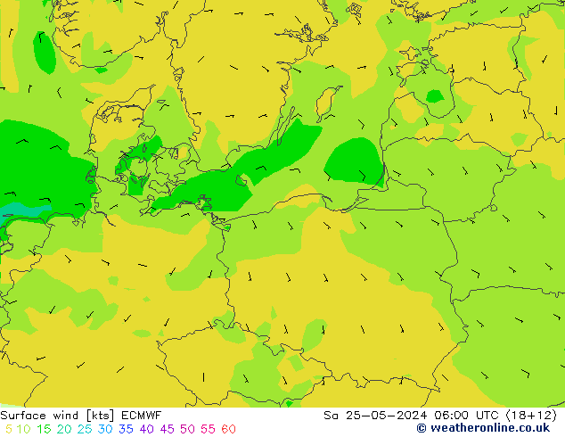 Surface wind ECMWF So 25.05.2024 06 UTC