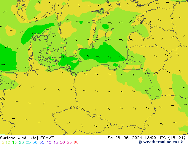 Surface wind ECMWF Sa 25.05.2024 18 UTC