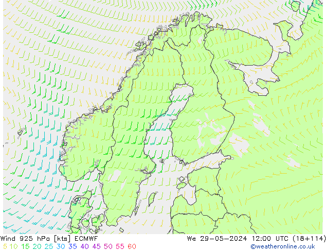 Wind 925 hPa ECMWF St 29.05.2024 12 UTC