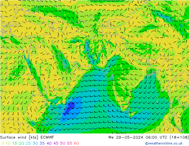 Wind 10 m ECMWF wo 29.05.2024 06 UTC