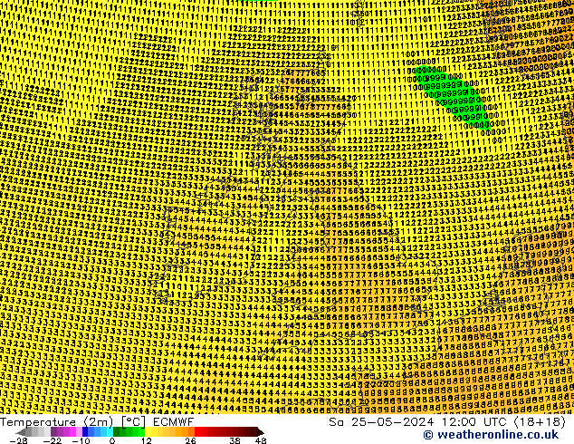 карта температуры ECMWF сб 25.05.2024 12 UTC