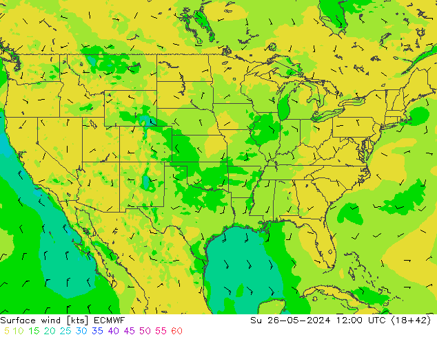 Surface wind ECMWF Su 26.05.2024 12 UTC