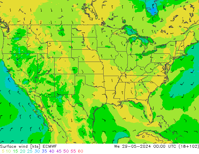 Wind 10 m ECMWF wo 29.05.2024 00 UTC