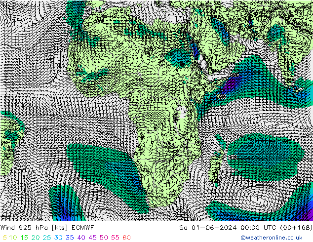 Wind 925 hPa ECMWF So 01.06.2024 00 UTC