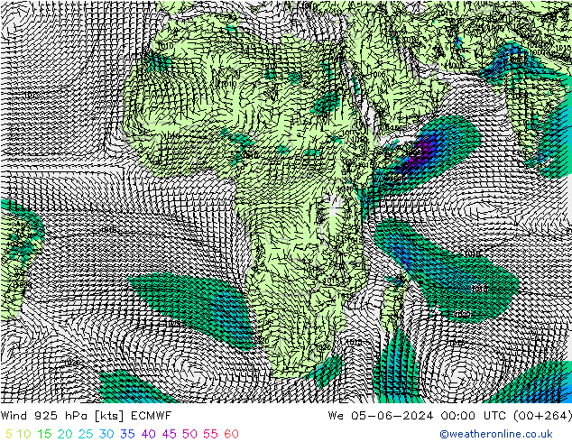 Rüzgar 925 hPa ECMWF Çar 05.06.2024 00 UTC