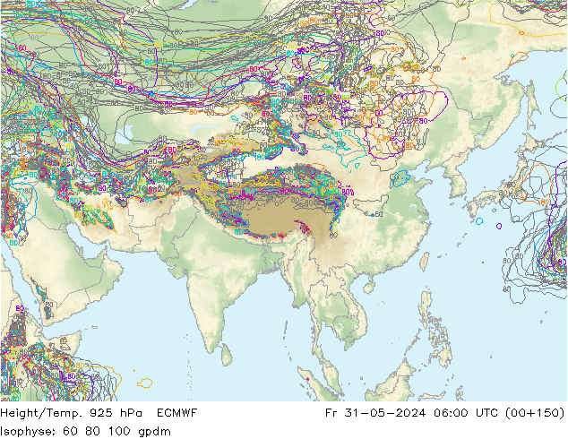 Height/Temp. 925 hPa ECMWF  31.05.2024 06 UTC