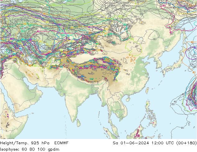 Height/Temp. 925 hPa ECMWF Sa 01.06.2024 12 UTC