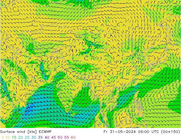 Bodenwind ECMWF Fr 31.05.2024 06 UTC