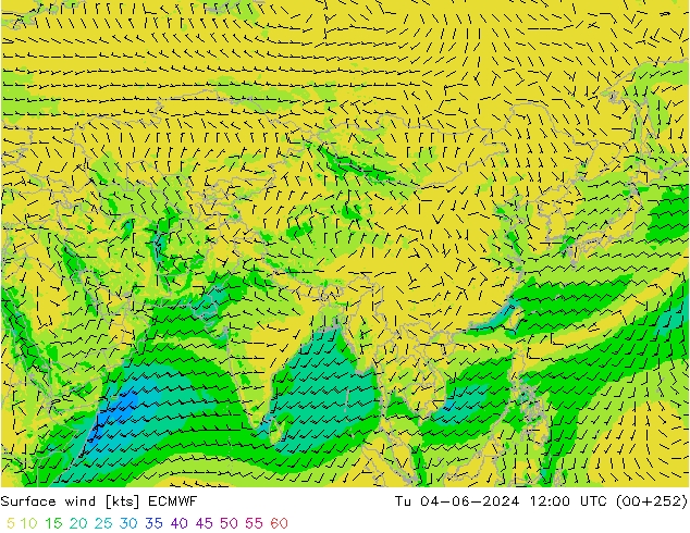 Bodenwind ECMWF Di 04.06.2024 12 UTC