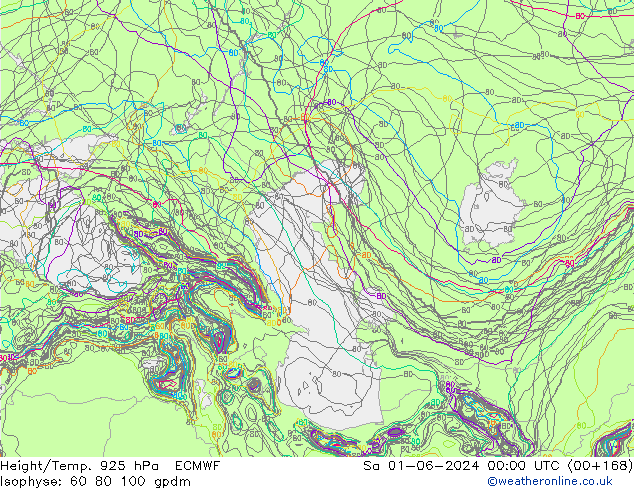 Hoogte/Temp. 925 hPa ECMWF za 01.06.2024 00 UTC