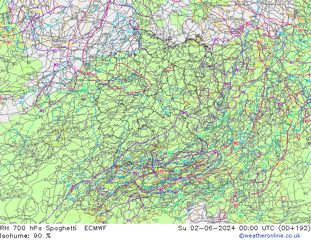 RH 700 гПа Spaghetti ECMWF Вс 02.06.2024 00 UTC