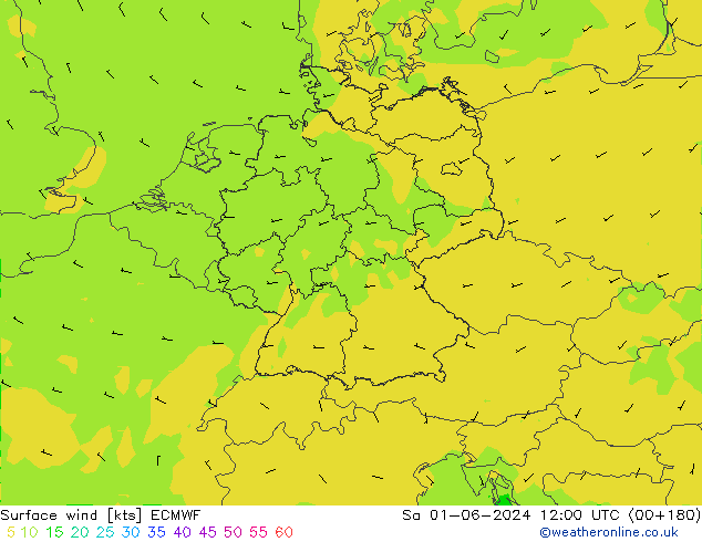 风 10 米 ECMWF 星期六 01.06.2024 12 UTC