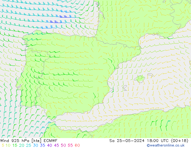 Wind 925 hPa ECMWF za 25.05.2024 18 UTC