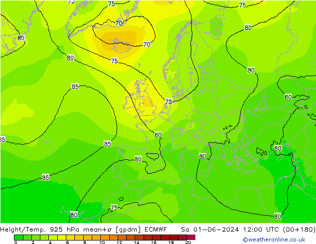 Height/Temp. 925 hPa ECMWF Sa 01.06.2024 12 UTC