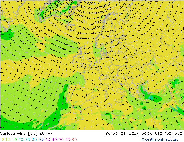 Surface wind ECMWF Su 09.06.2024 00 UTC