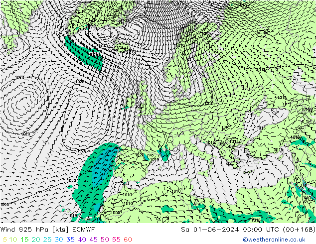 Vento 925 hPa ECMWF sab 01.06.2024 00 UTC