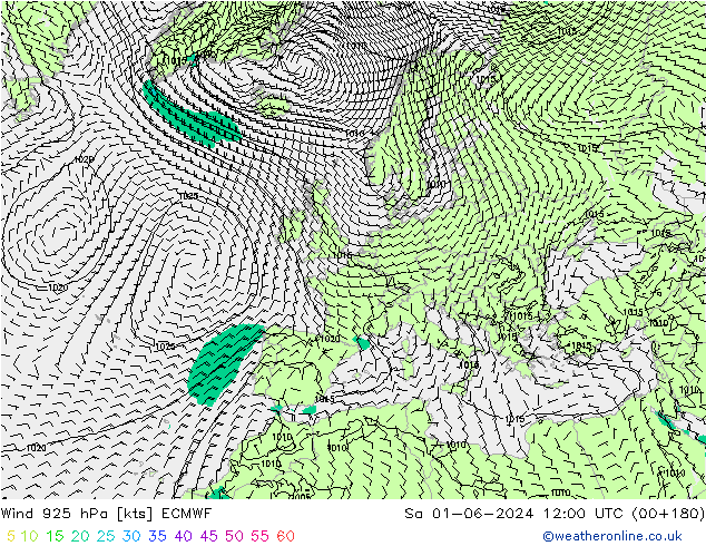  925 hPa ECMWF  01.06.2024 12 UTC