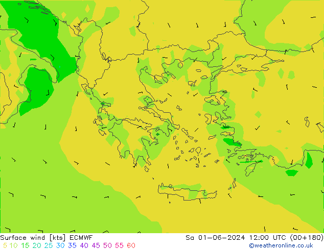 Surface wind ECMWF Sa 01.06.2024 12 UTC
