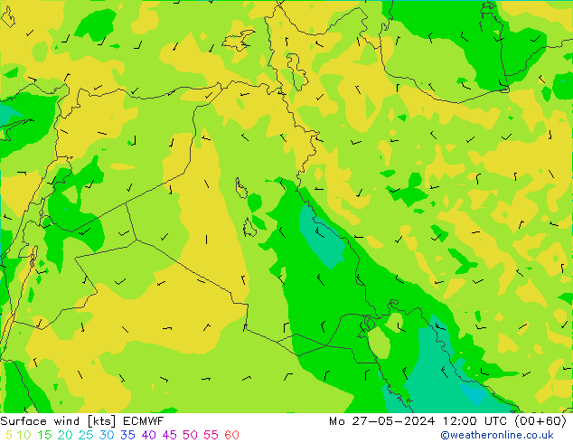 Bodenwind ECMWF Mo 27.05.2024 12 UTC