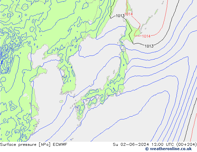 Luchtdruk (Grond) ECMWF zo 02.06.2024 12 UTC