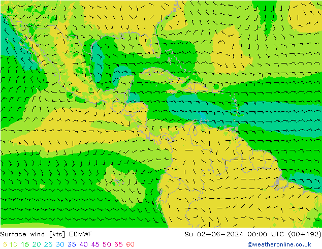 Vent 10 m ECMWF dim 02.06.2024 00 UTC