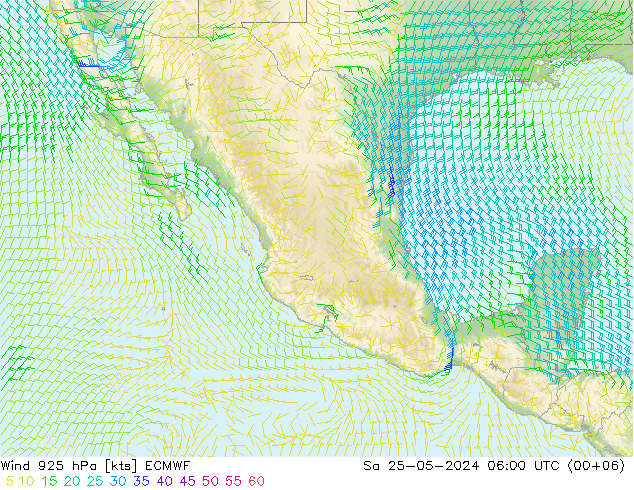 Vento 925 hPa ECMWF sab 25.05.2024 06 UTC