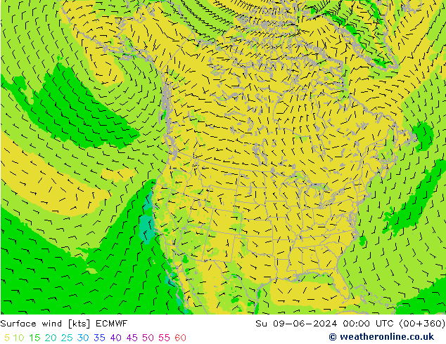 Rüzgar 10 m ECMWF Paz 09.06.2024 00 UTC