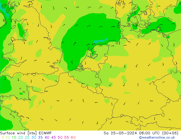 Bodenwind ECMWF Sa 25.05.2024 06 UTC