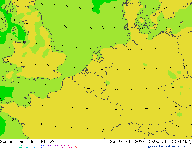 Surface wind ECMWF Su 02.06.2024 00 UTC