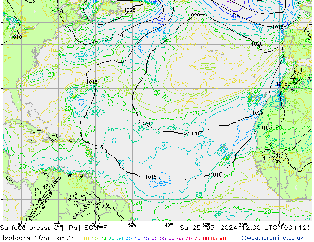 Eşrüzgar Hızları (km/sa) ECMWF Cts 25.05.2024 12 UTC