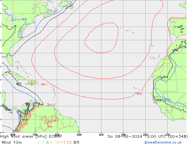 yüksek rüzgarlı alanlar ECMWF Cts 08.06.2024 12 UTC