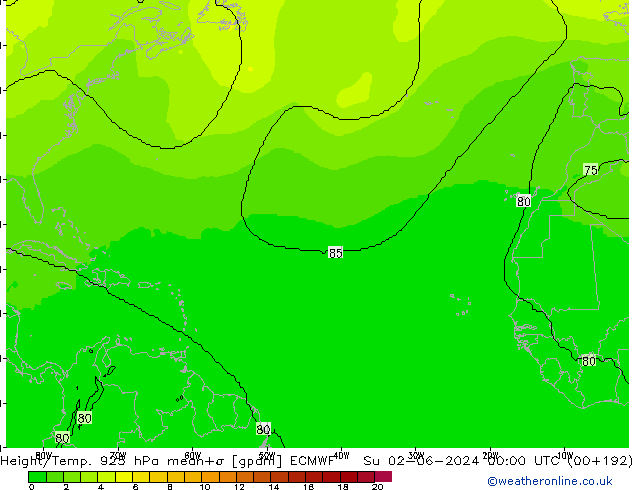 Géop./Temp. 925 hPa ECMWF dim 02.06.2024 00 UTC