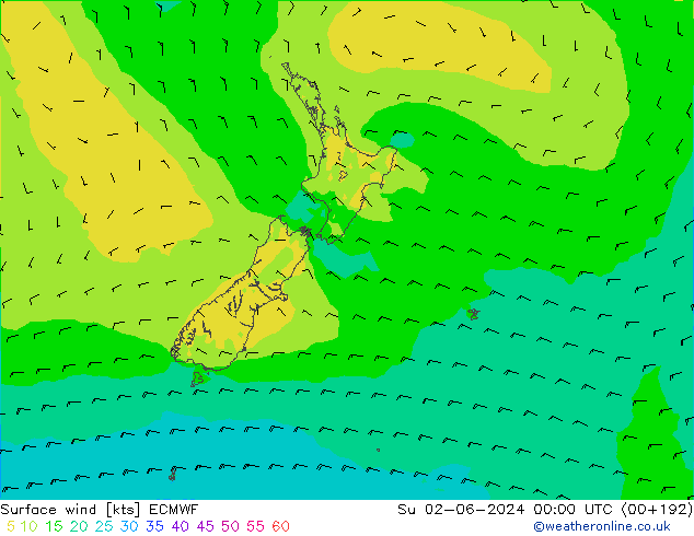 Surface wind ECMWF Su 02.06.2024 00 UTC