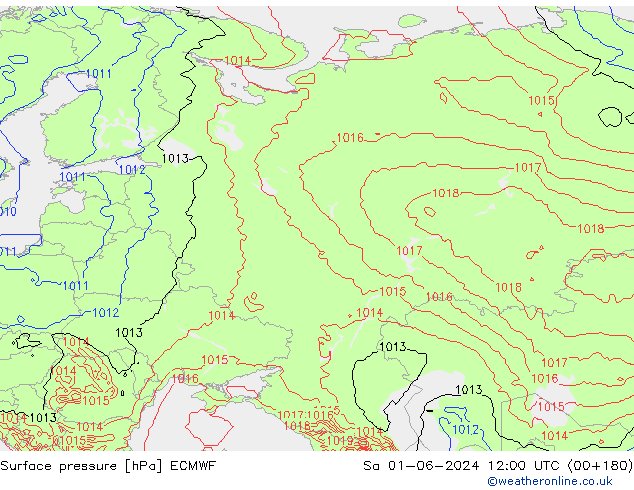      ECMWF  01.06.2024 12 UTC