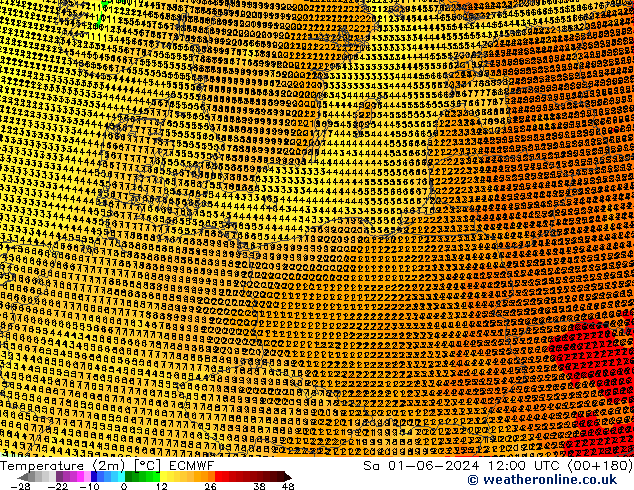 Temperature (2m) ECMWF So 01.06.2024 12 UTC