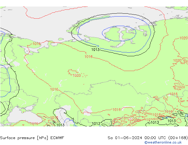 Surface pressure ECMWF Sa 01.06.2024 00 UTC