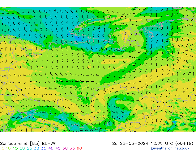 Wind 10 m ECMWF za 25.05.2024 18 UTC