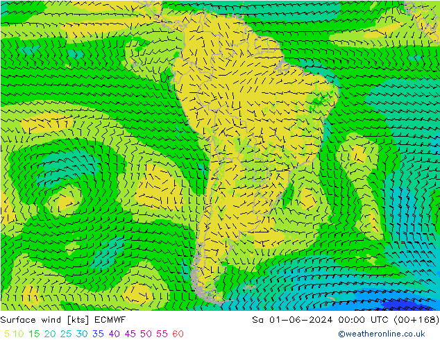 wiatr 10 m ECMWF so. 01.06.2024 00 UTC